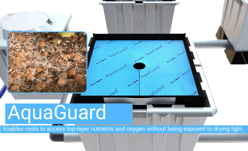 AquaGuard hydroponic